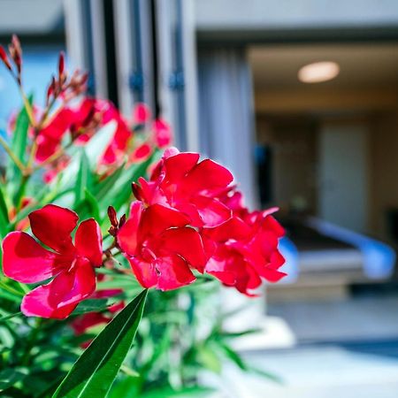 Dedaj Resort - Villa Auri ザダル 部屋 写真