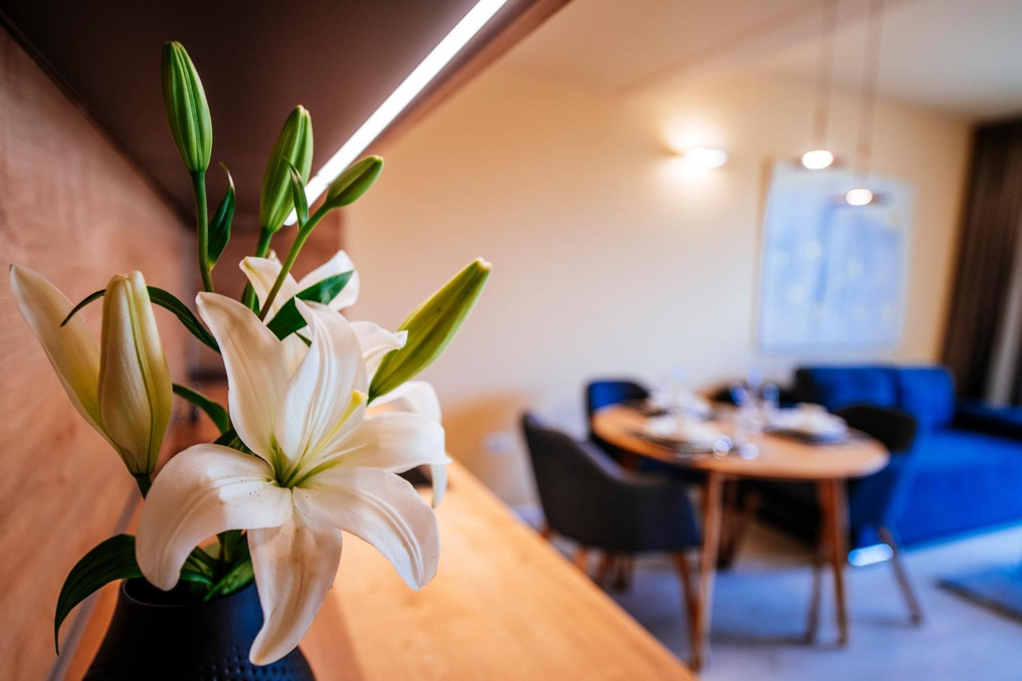 Dedaj Resort - Villa Auri ザダル 部屋 写真